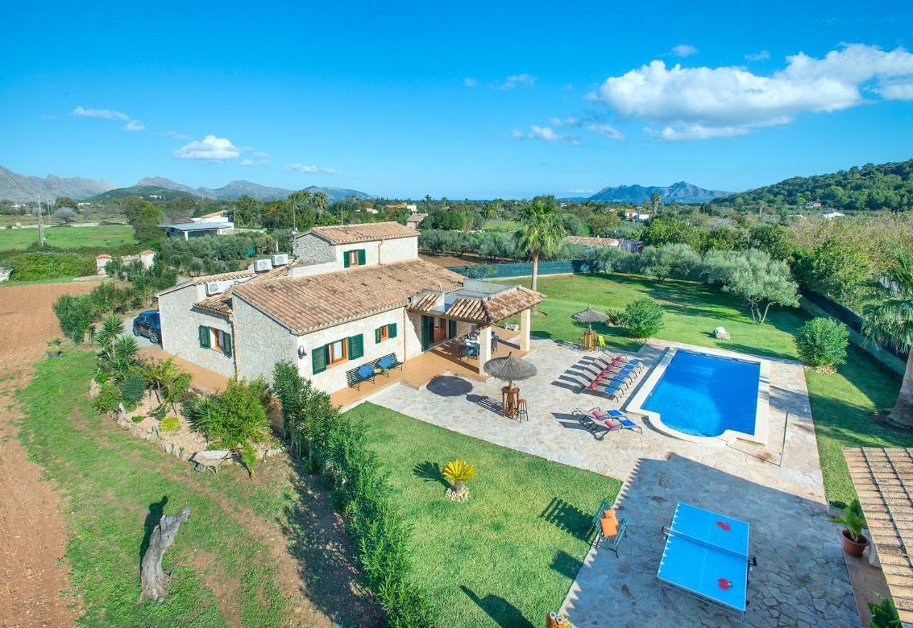 Owl Troy - Family And Friends Villa
