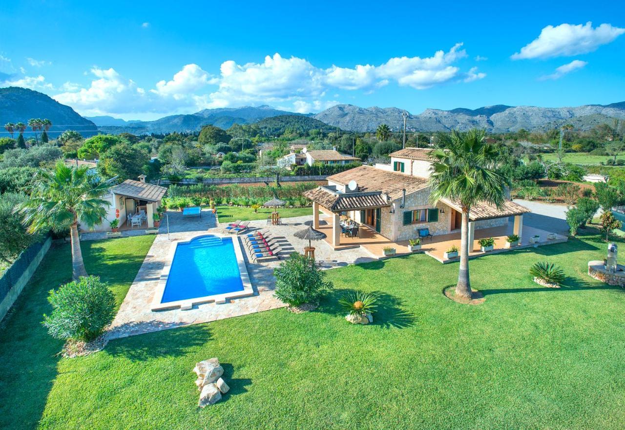 Owl Troy - Family And Friends Villa